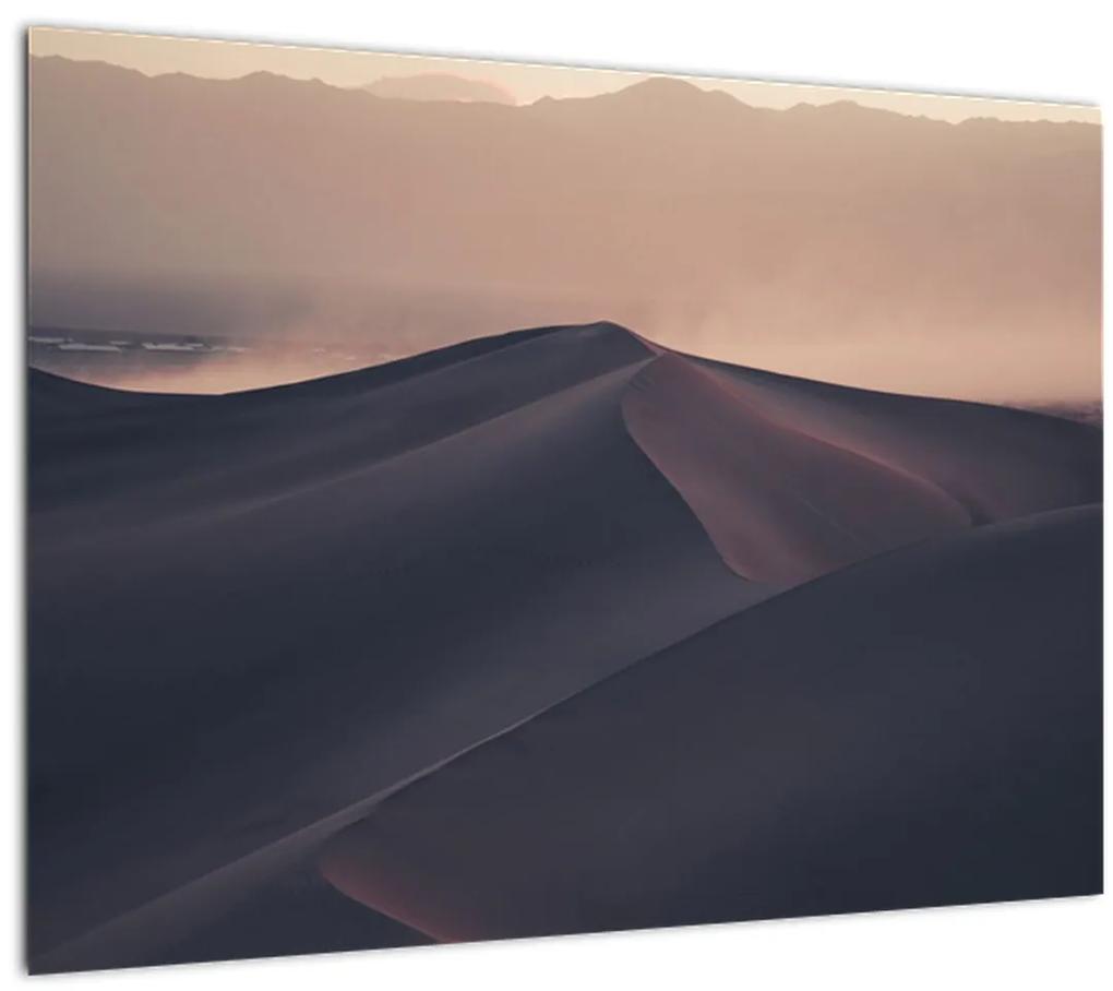Obraz - Piesočné duny (70x50 cm)