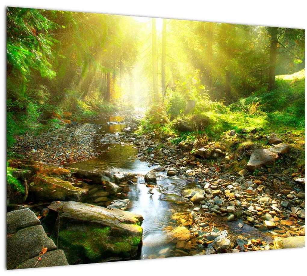 Sklenený obraz rieky v zelenom lese (70x50 cm)