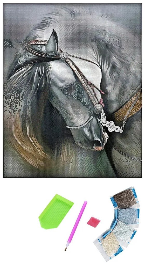 Weltbild Diamantový obraz Kôň