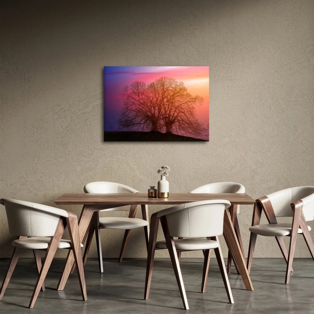Obraz stromov v hmle (70x50 cm)