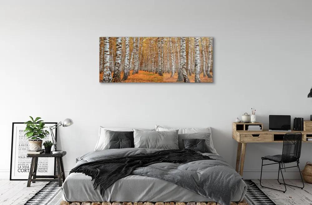 Obraz plexi Jesenné stromy 120x60 cm