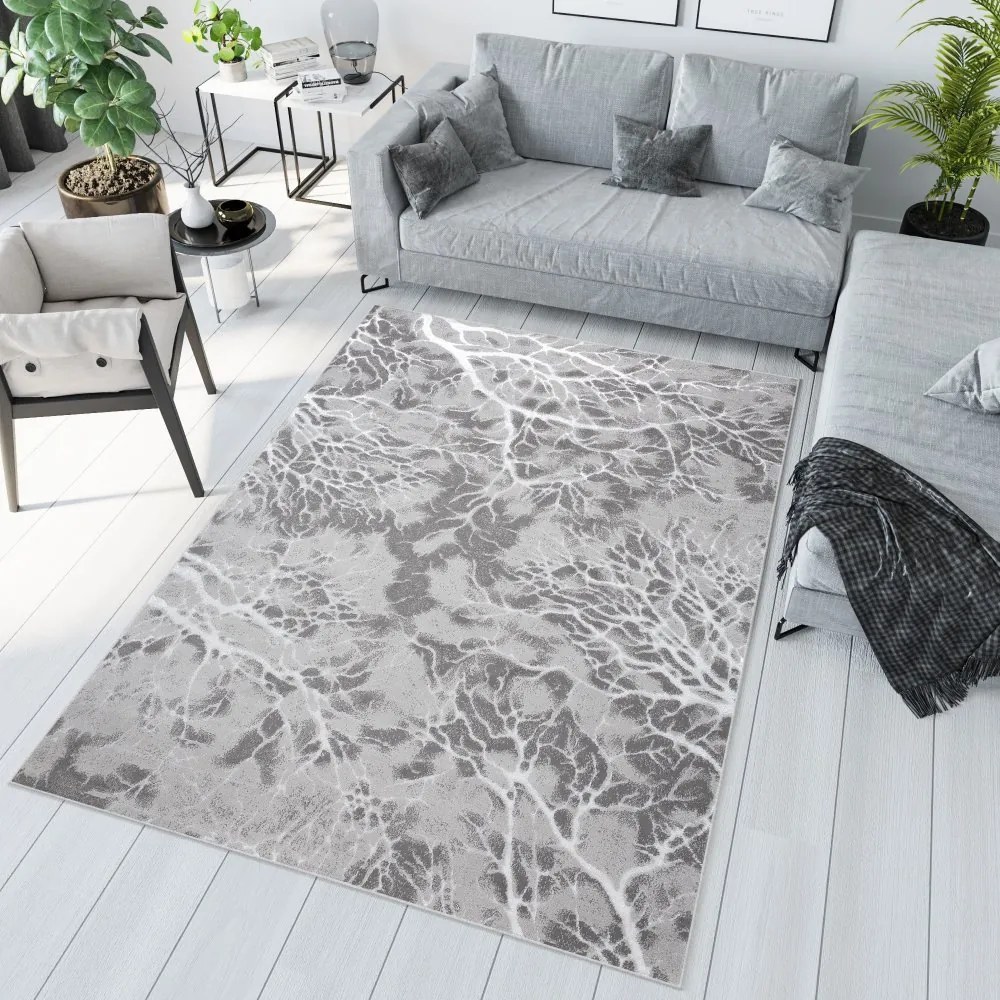 Jednoduchý moderný koberec sivej farby s bielym motívom Šírka: 200 cm | Dĺžka: 300 cm