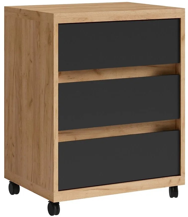 Skrinka na kolieskach Iga Dub Craft / čierna Mat