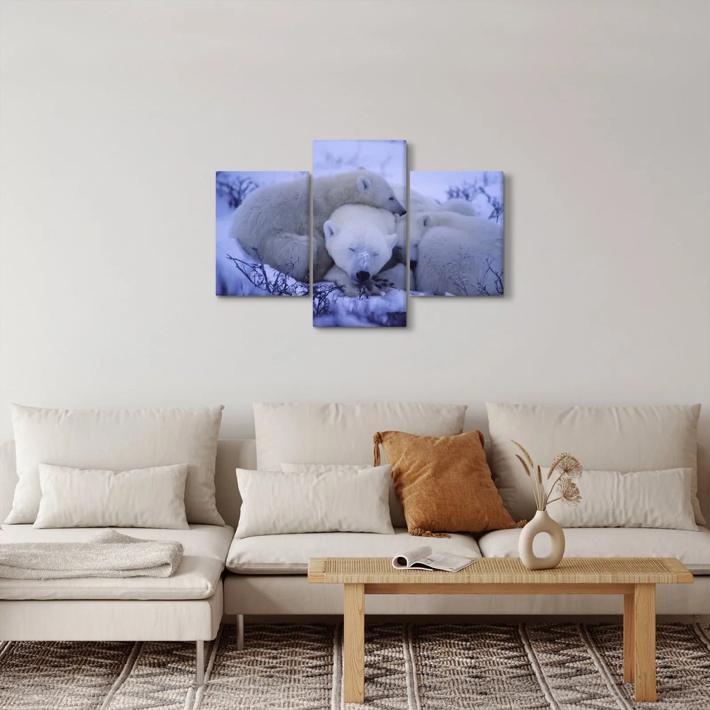 Obraz - Ľadové medvedíky (90x60 cm)