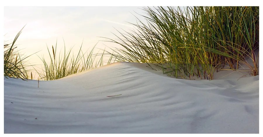 Moderný akrylový fotoobraz Morské duny pl-oa-140x70-f-51837949