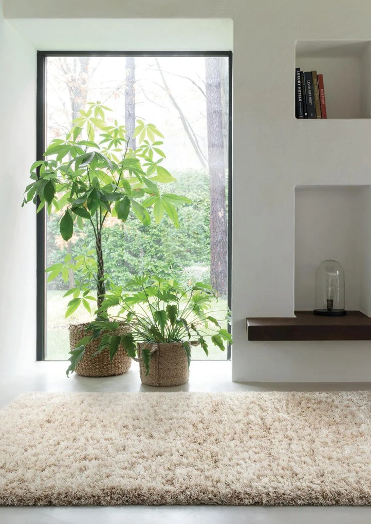 Osta, Kusový koberec Rhapsody 2501 101, 240x340, béžová, obývacia izba