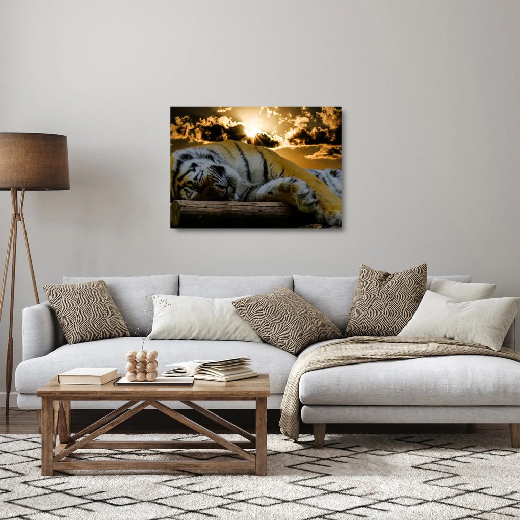 Sklenený obraz spiaceho tigra (70x50 cm)