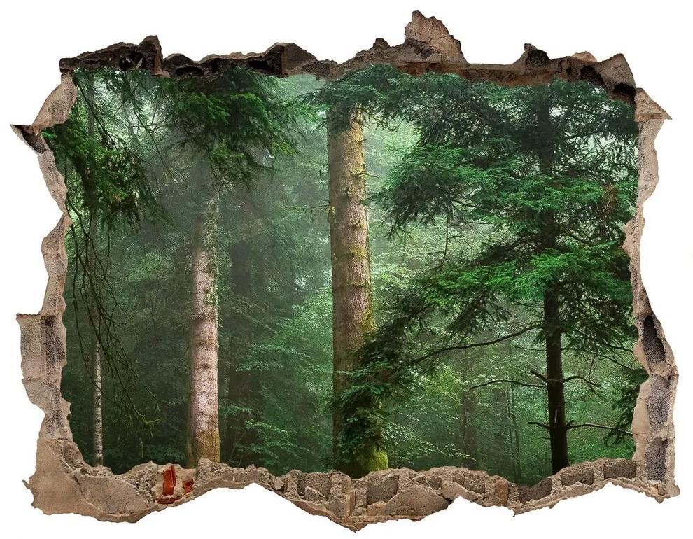 Díra 3D foto tapeta nálepka Hmla v lese nd-k-95330664