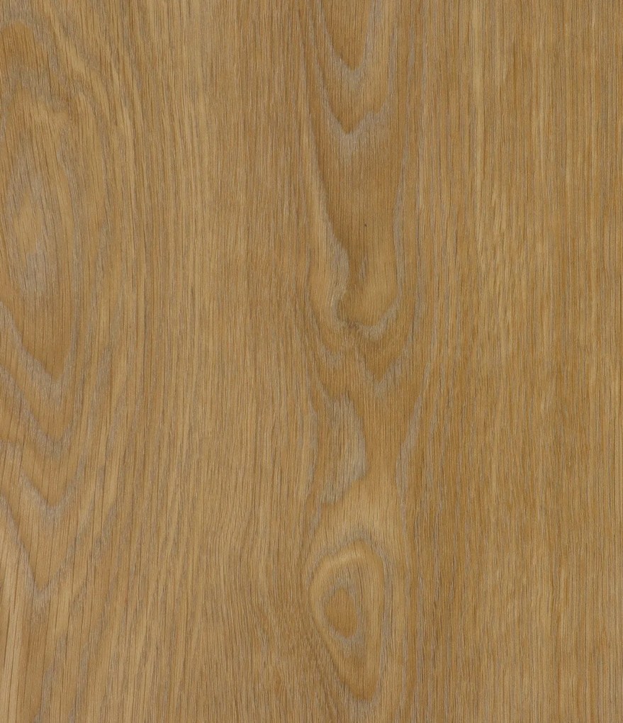 IVC Commercial, PVC podlaha - lino Logitex Ultimate 55 Elias T44, na mieru, šíře 2m,4m, hnedá, filc, chodba / predsieň