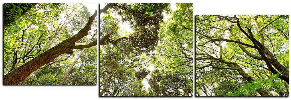 Obraz na plátne - Zelené stromy v lese - panoráma 5194D (120x40 cm)