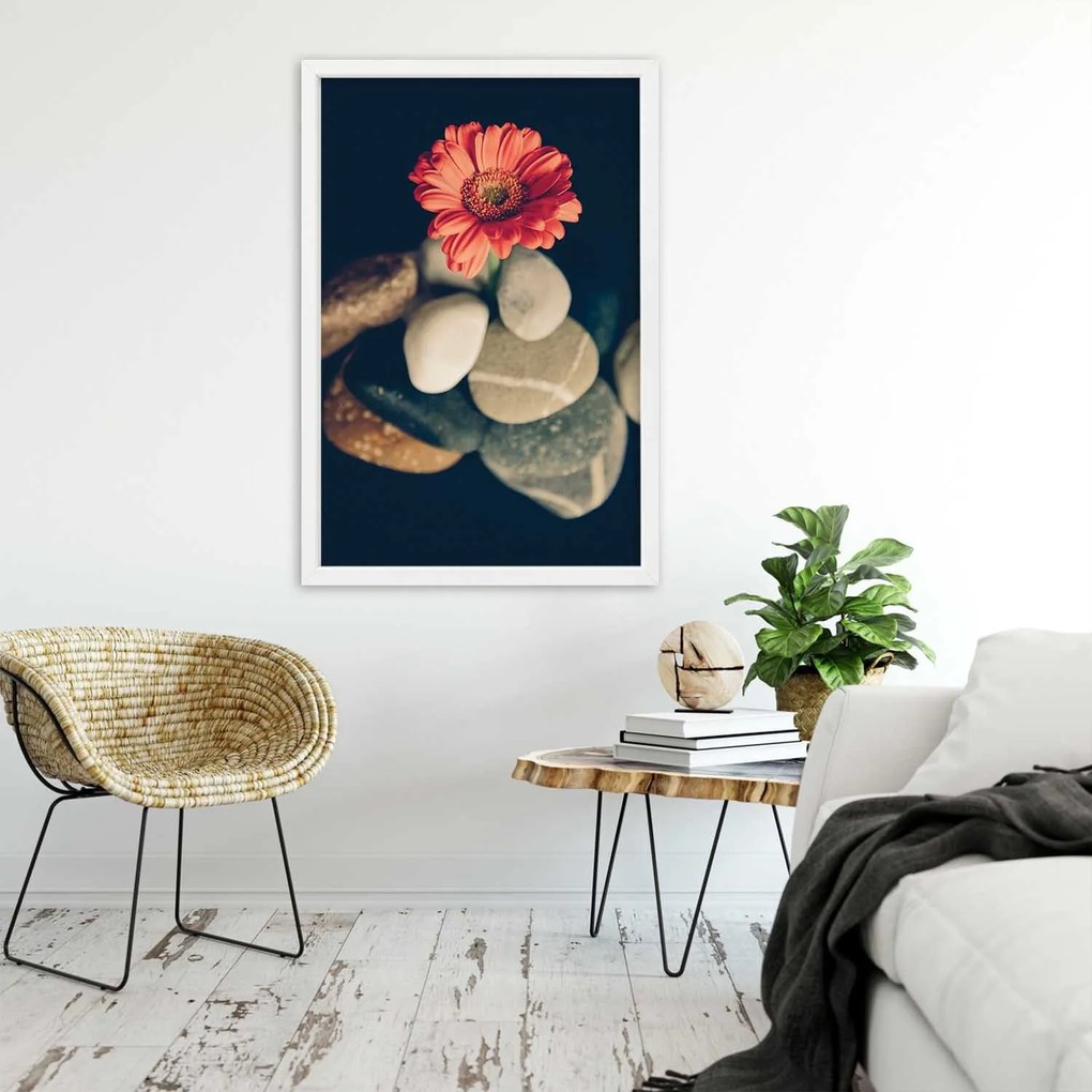 Gario Plagát Gerbera a kamene Farba rámu: Bez rámu, Rozmery: 40 x 60 cm