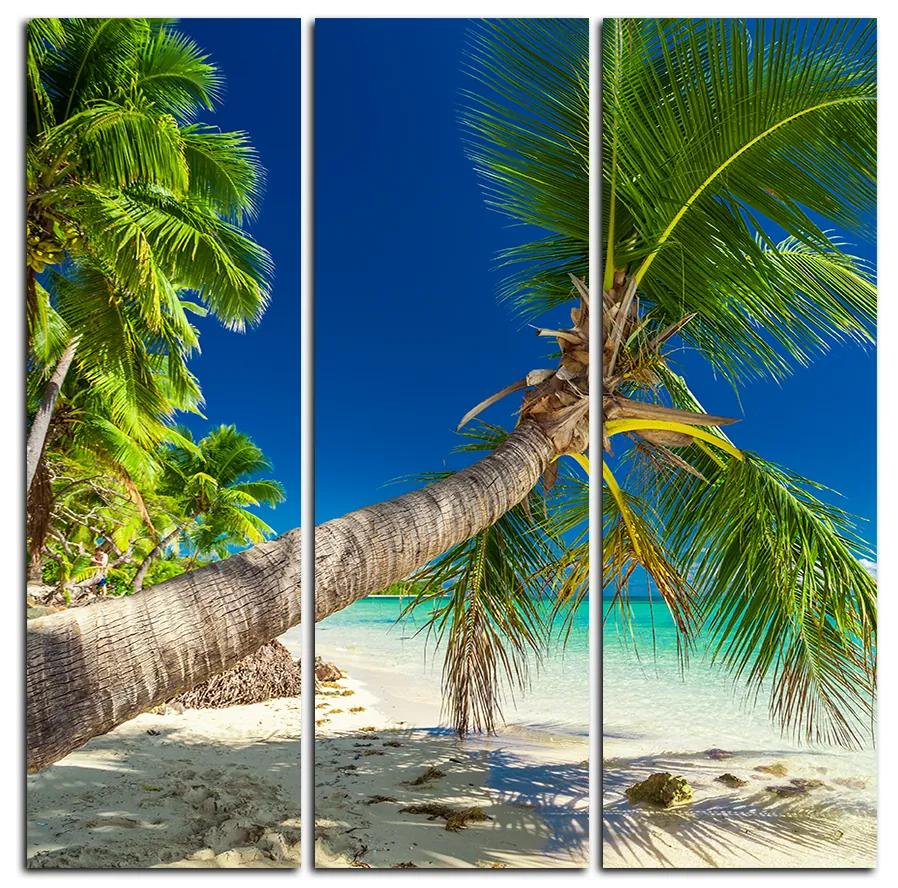 Obraz na plátne - Pláž s palmami - štvorec 384B (105x105 cm)