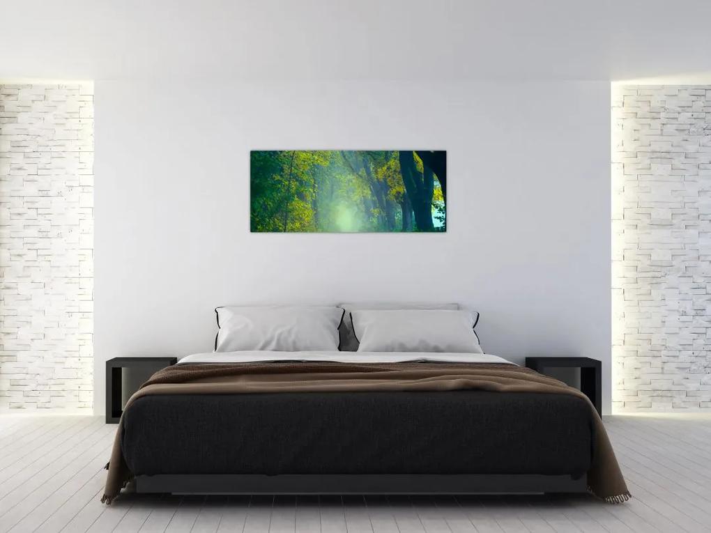 Obraz cesty lemovanej stromami (120x50 cm)