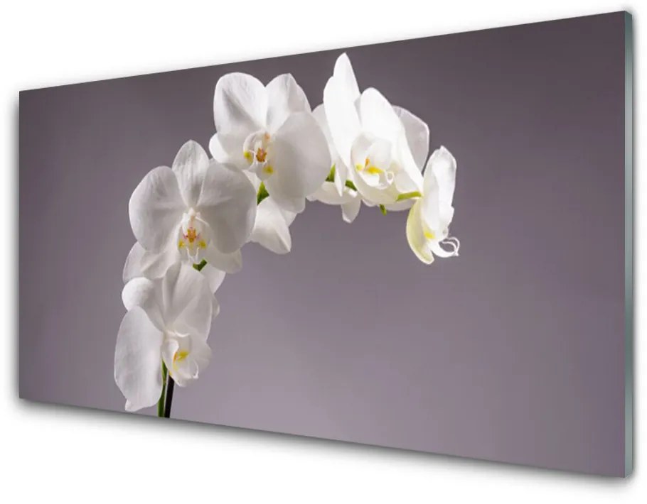 Skleneny obraz Kvety rastlina príroda 140x70cm