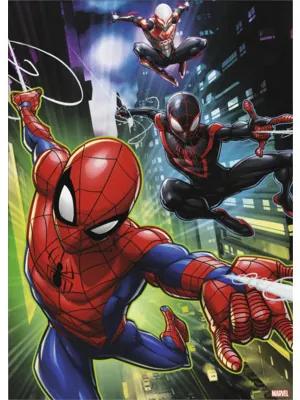 Obraz na plátne Spiderman & Friends 50x70 cm