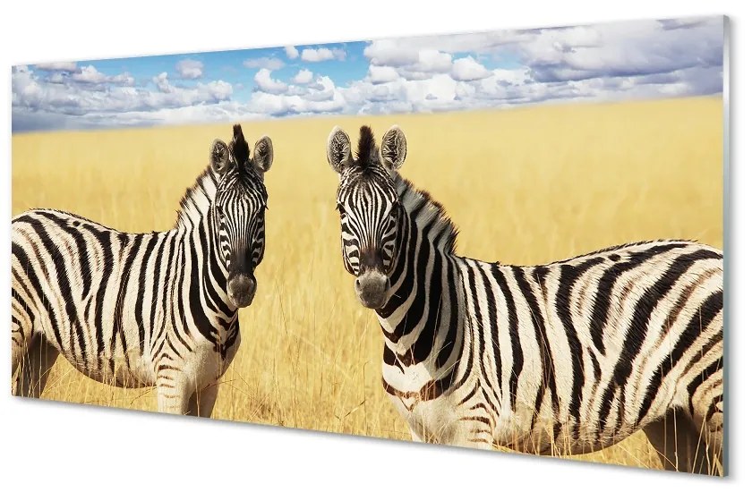 Sklenený obraz zebra box 125x50 cm