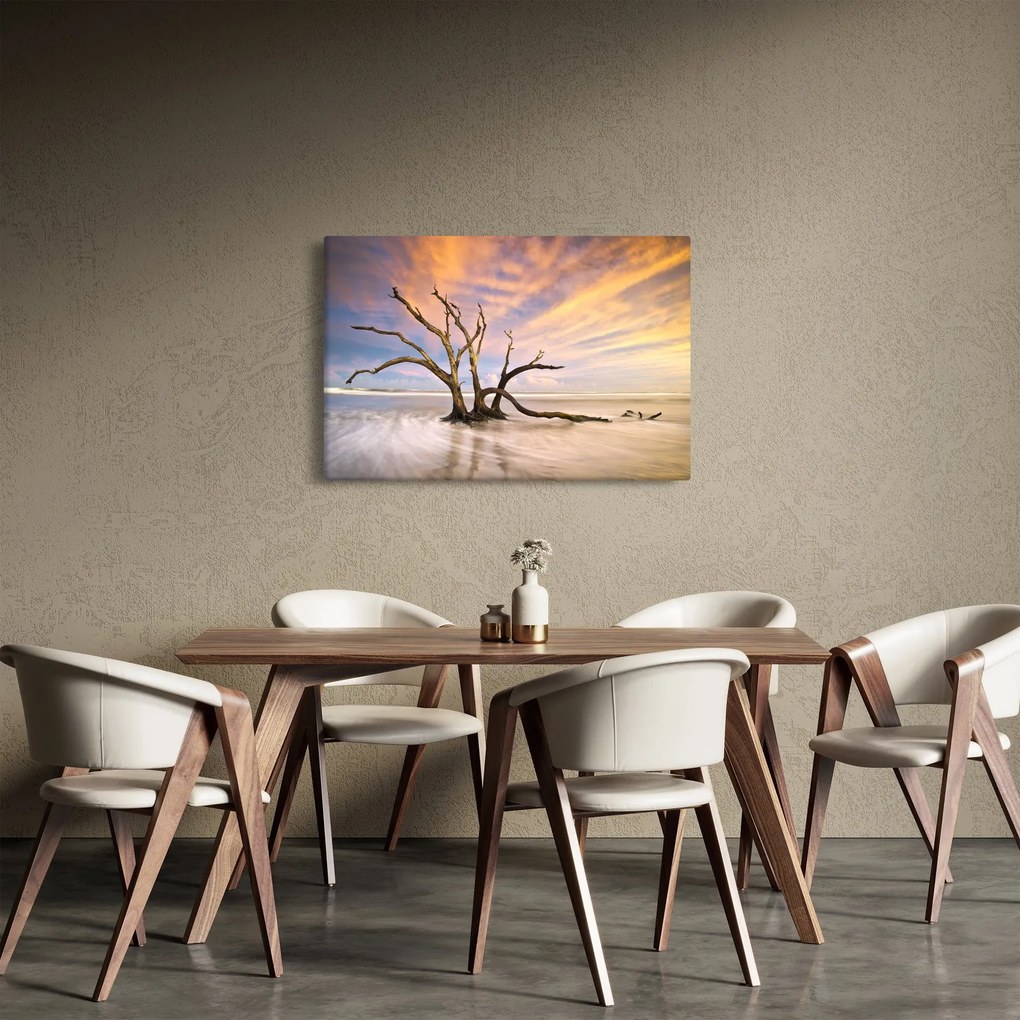 Obraz stromu v oceáne (90x60 cm)