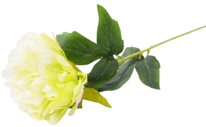 Peonia 52cm biela A2010436