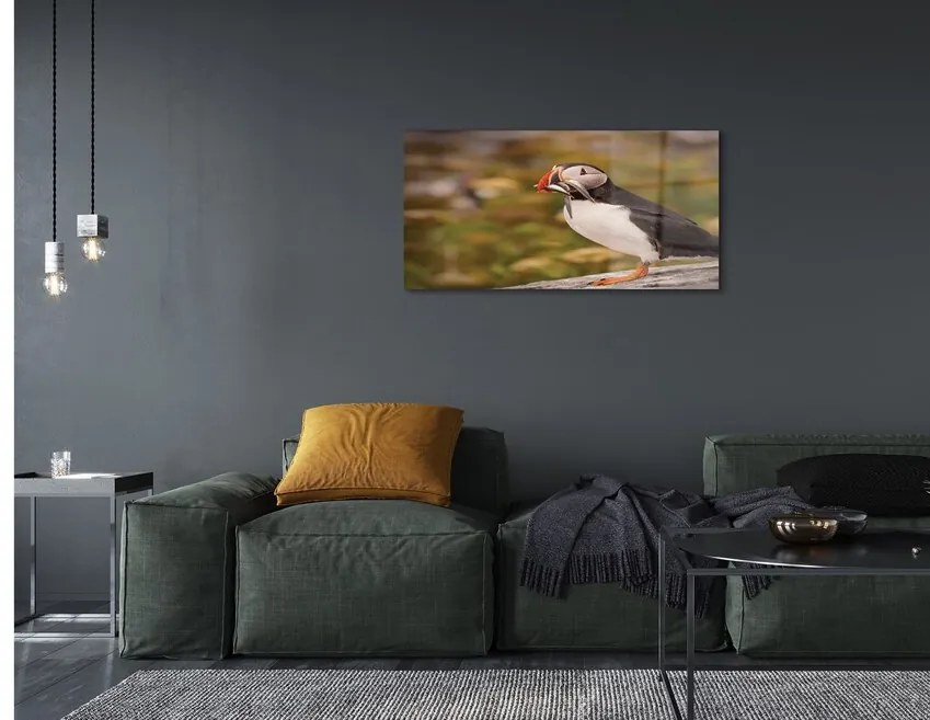 Sklenený obraz Papagáj 140x70 cm
