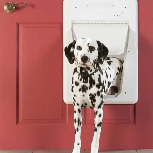 PetSafe® Elektronické dvierka SmartDoor™ veľkosť L