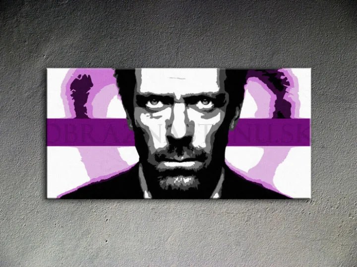 Ručne maľovaný POP Art obraz Dr. HOUSE 1010 | rôzne rozmery