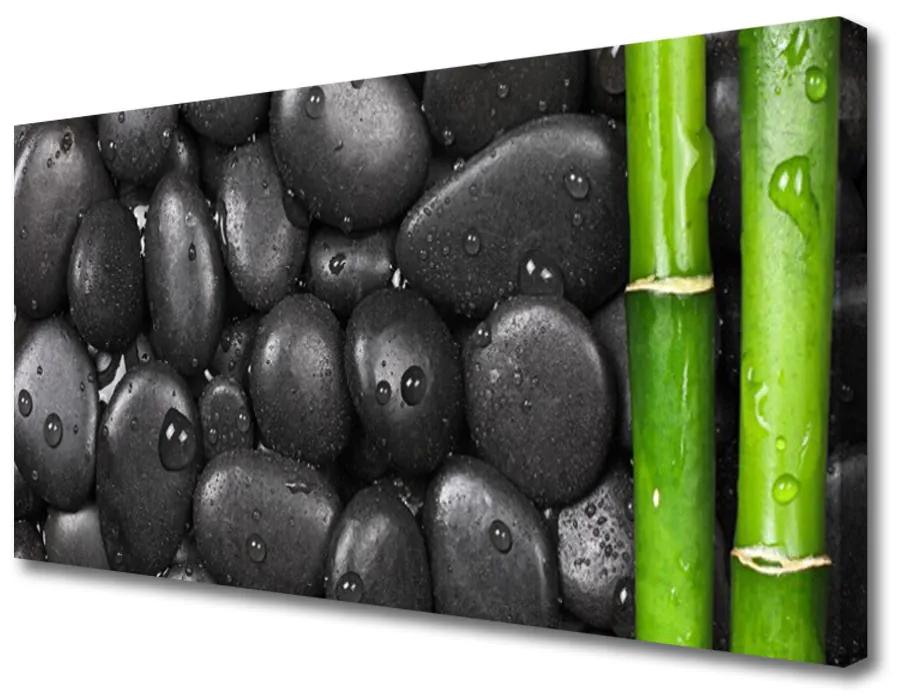 Obraz Canvas Bambus stonka kamene 120x60 cm