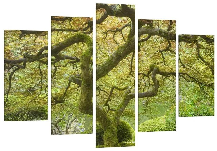 Manufakturer -  Päťdielny obraz Zelená japonská záhrada