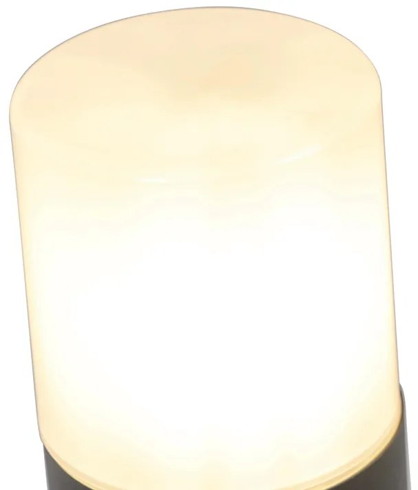 Vonkajšia lampa čierna s opálovým bielym tienidlom 50 cm - Odense