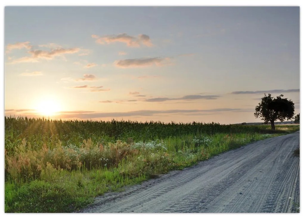 Západ slnka - obraz