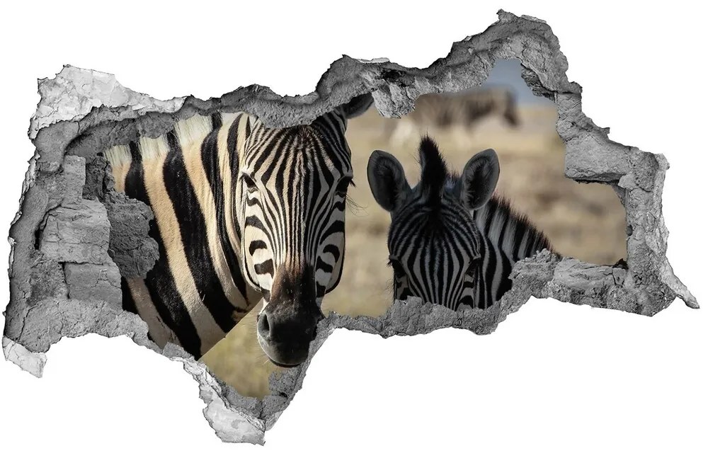 Diera 3D fototapeta nálepka Dve zebry nd-b-70684470
