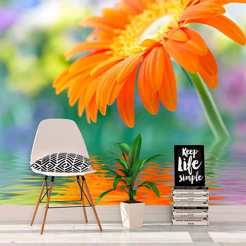 Sablio Tapeta Oranžová gerbera - 336x220 cm