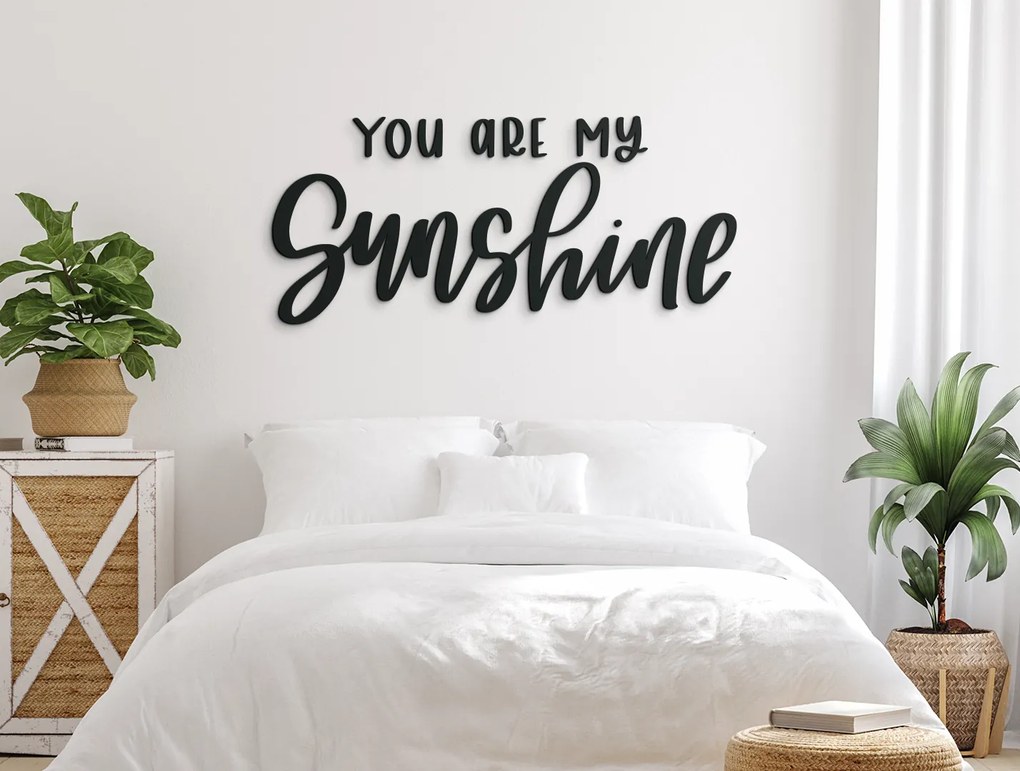 drevko Nápis na stenu You are my sunshine Rozmer obrazu: 19 x 42,5 cm, Farba dekorácie: Čierna