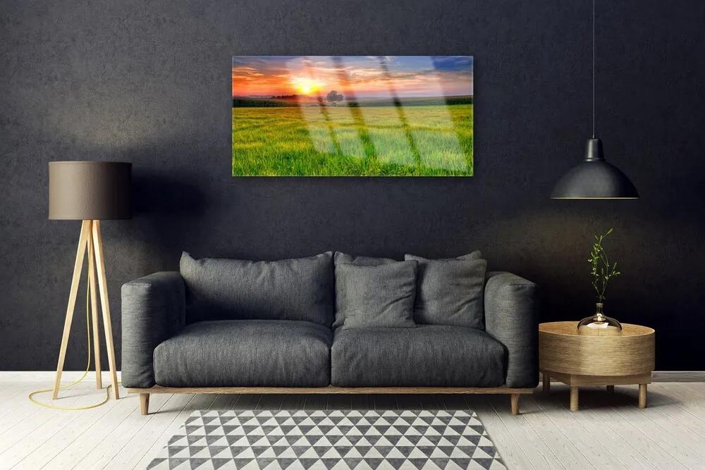 Skleneny obraz Lúka slnko príroda 100x50 cm