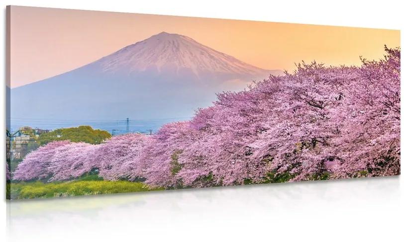 Obraz nádherné Japonsko Varianta: 120x60