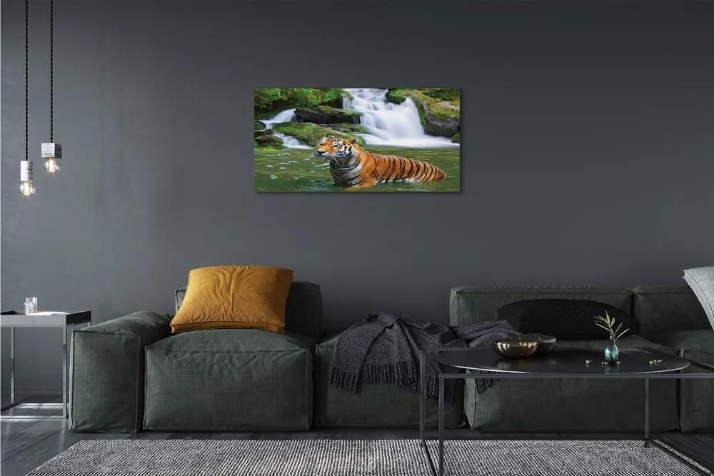Obraz na plátne tiger vodopád 120x60 cm