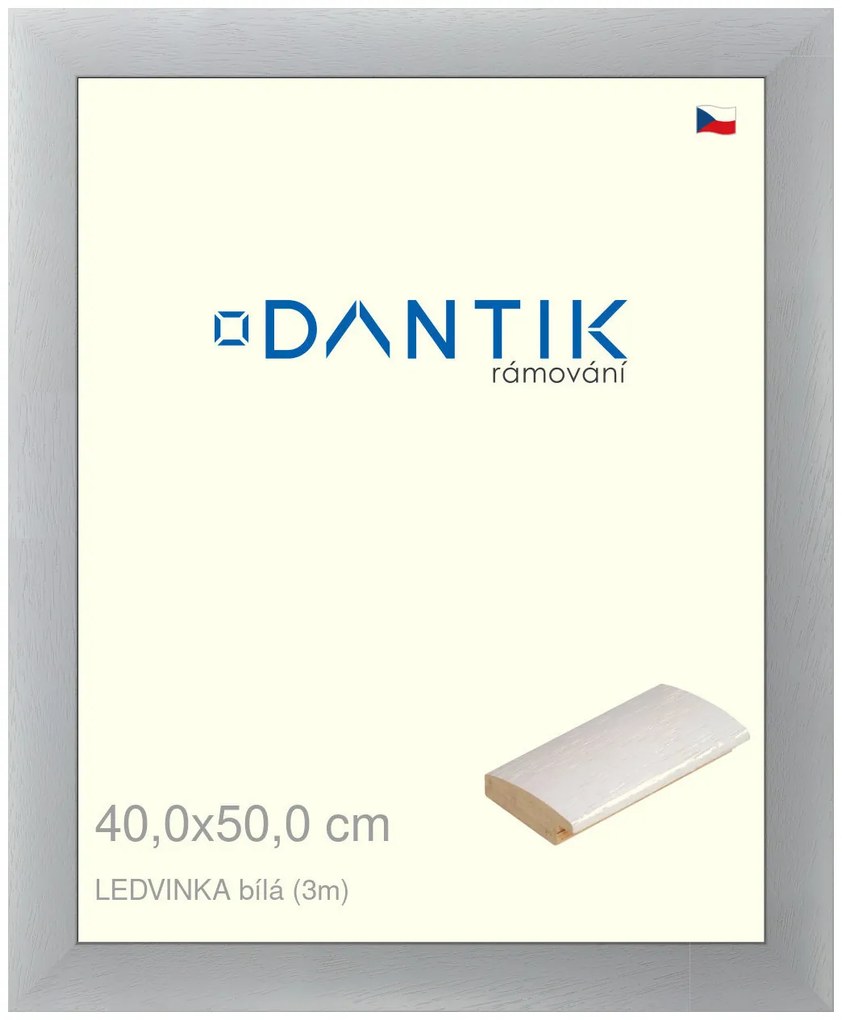 DANTIK rám na obraz 40x50 | LEDVINKA bílá (Plexi Čiré)