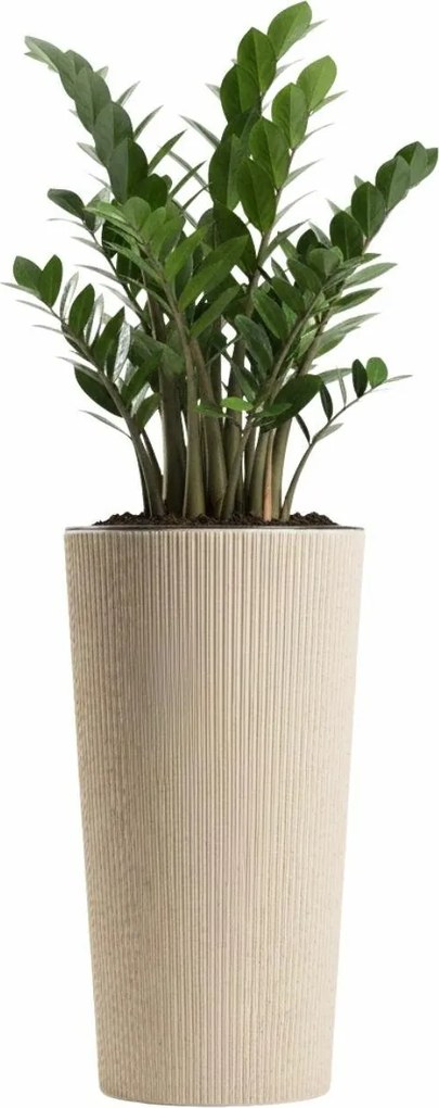 Květináč URBANIKA Coffee 36,4x19,6 cm béžový