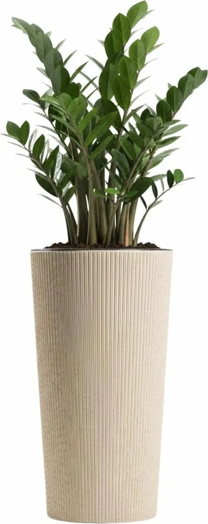 Květináč URBANIKA Coffee 36,4x19,6 cm béžový