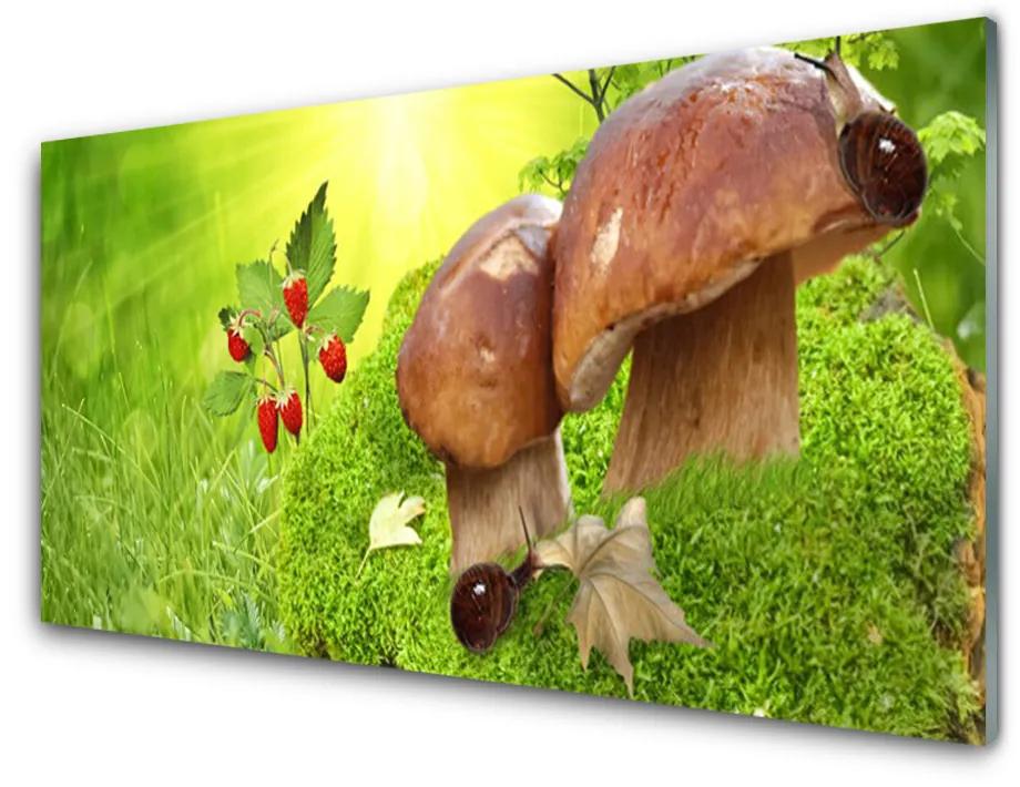 Obraz na skle Huby divoké jahody 140x70 cm