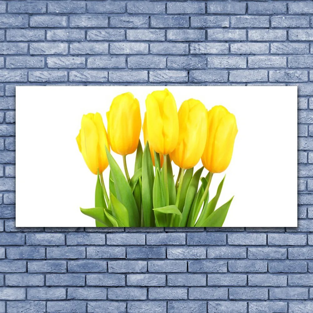 Obraz plexi Tulipány kvety rastlina 120x60 cm