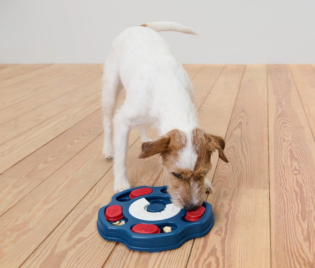 Inteligenčná hračka pre psov