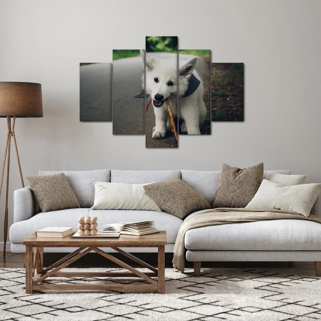 Obraz bieleho psíka (150x105 cm)