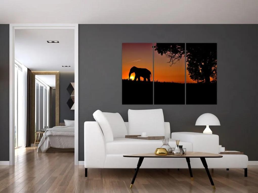 Obraz slona v prírode
