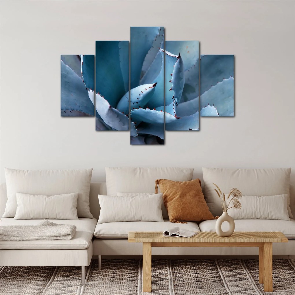 Obraz - Agáve (150x105 cm)