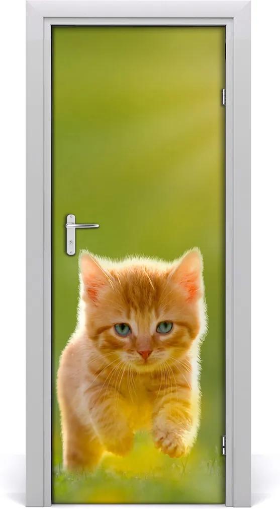 Samolepiace fototapety na dvere  Červená mačka