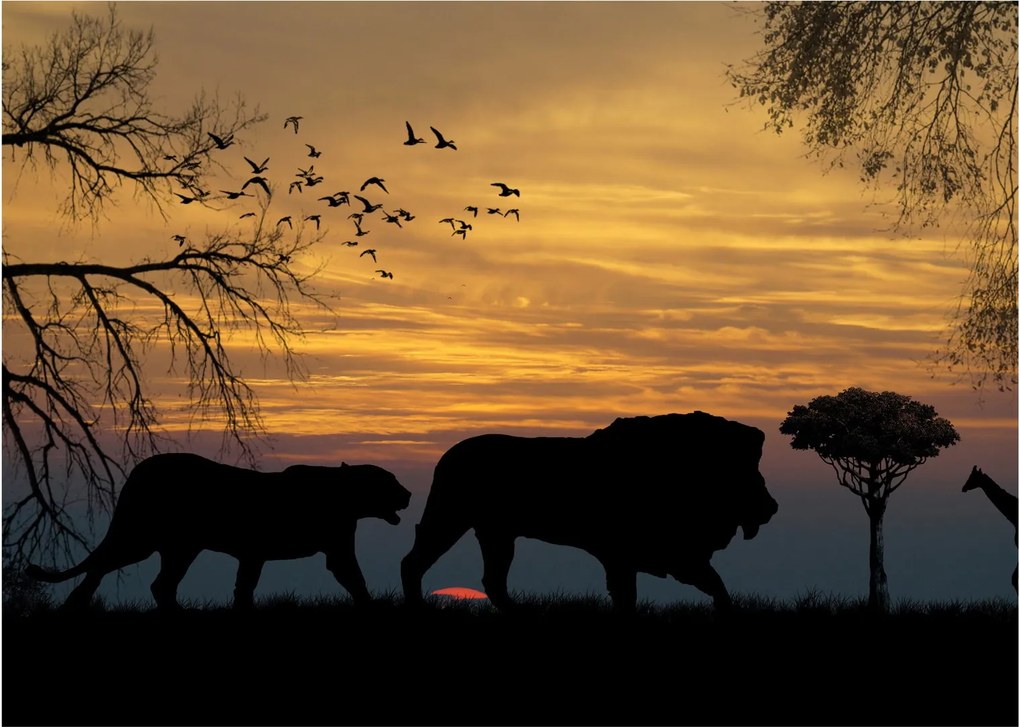 Sklenený obraz Safari (70x50 cm)