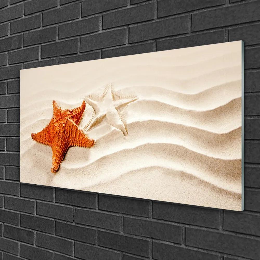Skleneny obraz Hviezdice na piesku pláž 100x50 cm