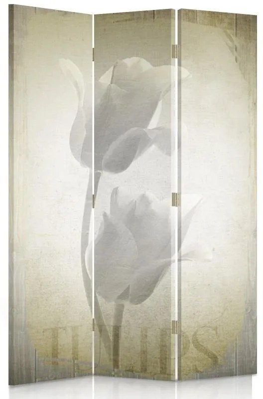 Gario Paraván Retro Tulipány Rozmery: 145 x 170 cm, Prevedenie: Klasický paraván