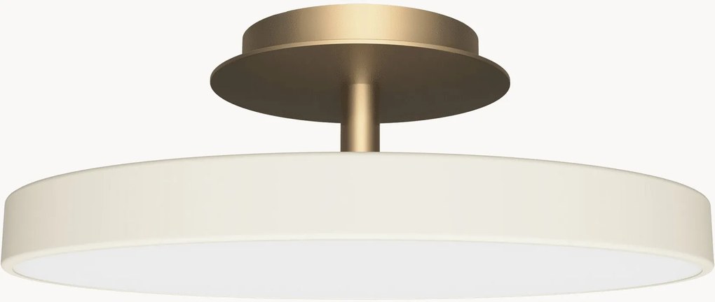 Stmievateľné stropné LED svietidlo Asteria Up Plus Mini