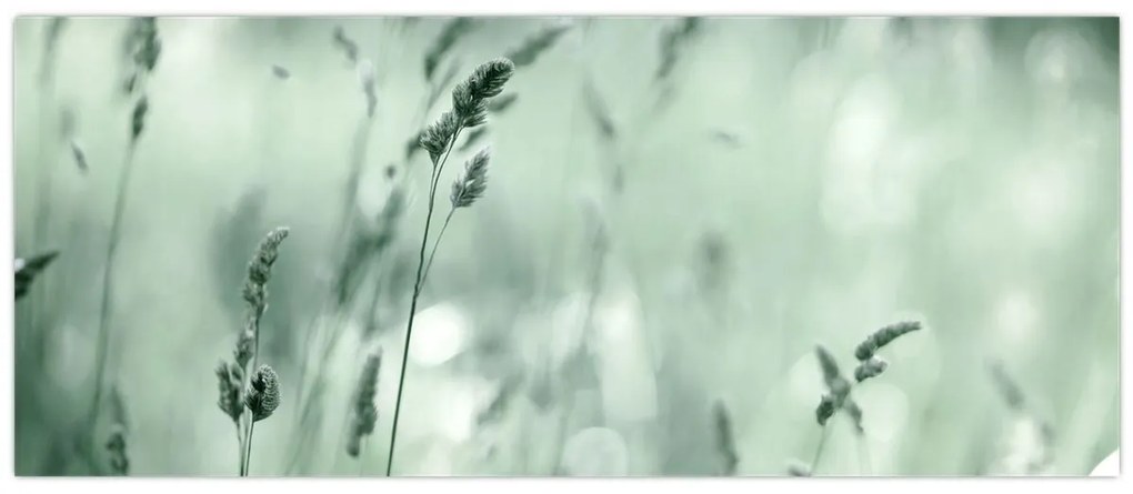 Obraz - Zelená lúka (120x50 cm)